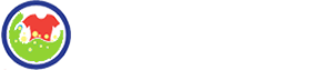 Responsive Logo